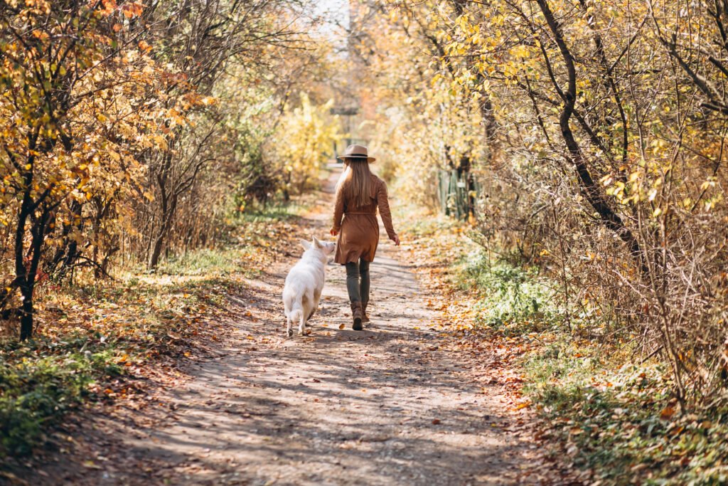 paseo con mascota en otoño